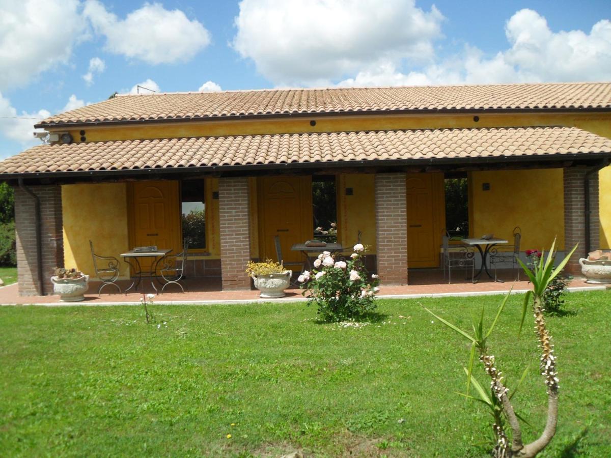 Agriturismo Il Prataccio Ischia di Castro Dış mekan fotoğraf